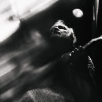 20180404-Music-StrayTrain-Ljubljana-Ortofest-FotoMarkoAlpner-web-02