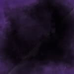 33780738_10216186136987488_277875673857523712_n