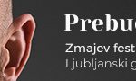 Lj grad_Zmajev festival_moje karte_728x90